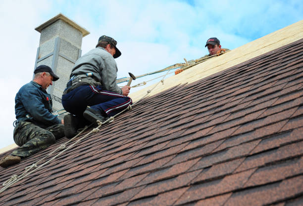 Best Gutter Installation and Roofing  in Monroe, WA